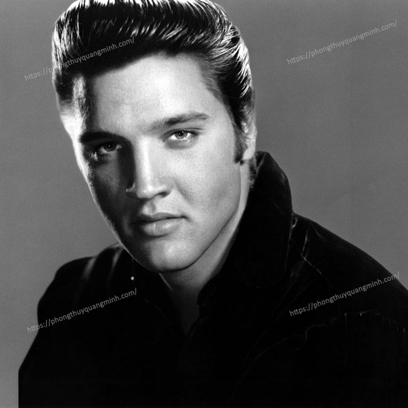 Lá-Số-Tứ-Trụ-Elvis-Presley