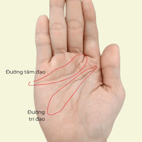 Đường Chỉ Tay Uốn Lượn Gập Ghềnh