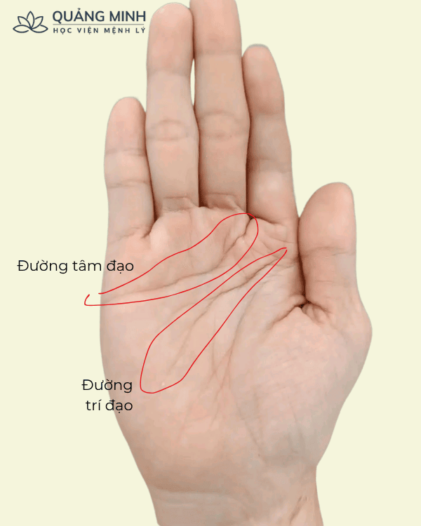 Đường Chỉ Tay Uốn Lượn Gập Ghềnh