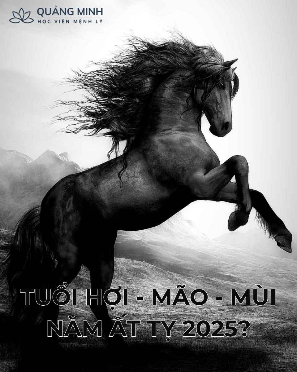 Trạch Mã Động Tượng