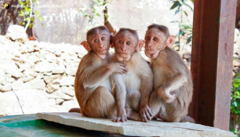 Tuổi Thân Năm 2026