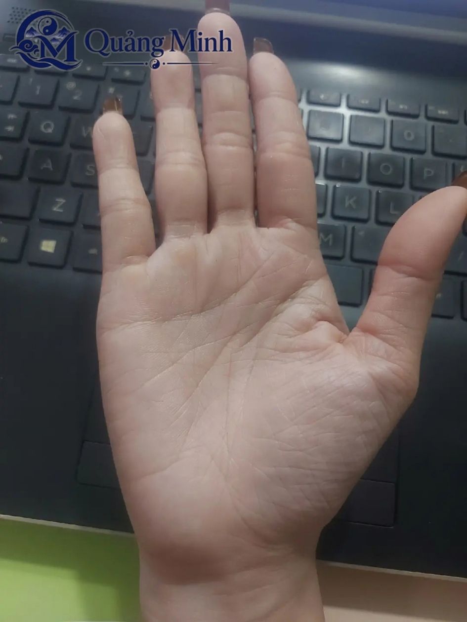 Bàn Tay Nữ Lận Đận Tình Duyên